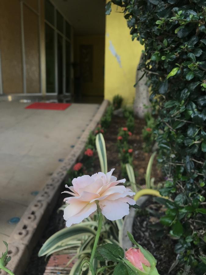Huay Xai The M Bokeo Hotel מראה חיצוני תמונה